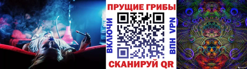 mega как войти  наркотики  Томмот  Псилоцибиновые грибы мухоморы 